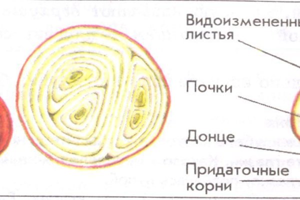 Замена гидры