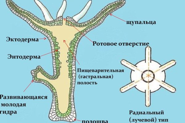 Запрещенный сайт кракен