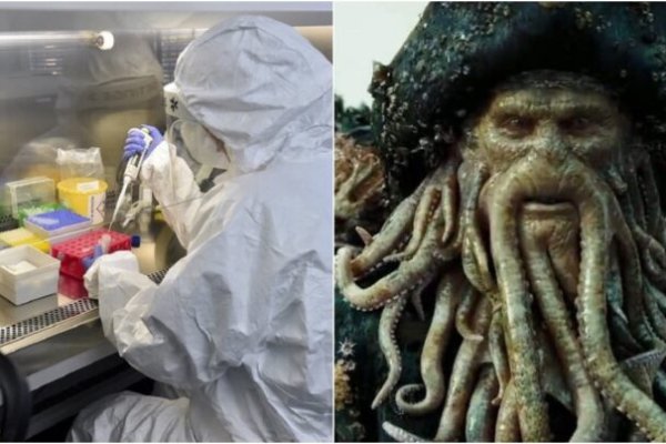 Kraken актуальные зеркала krakentor site