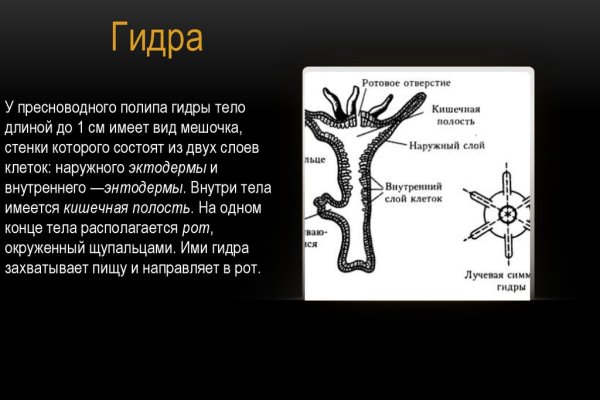 Как зайти в кракен