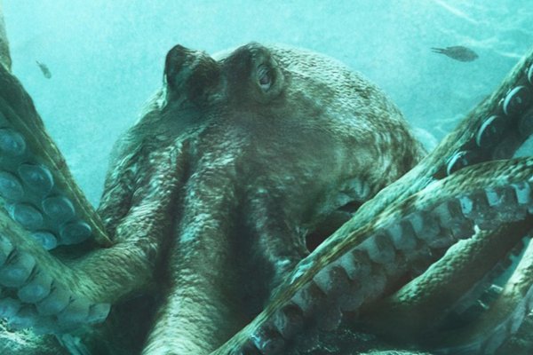 Kraken вход и ссылки