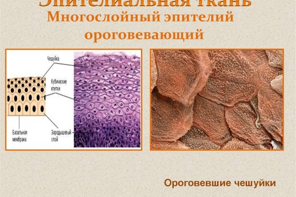 Kraken ссылка актуальная