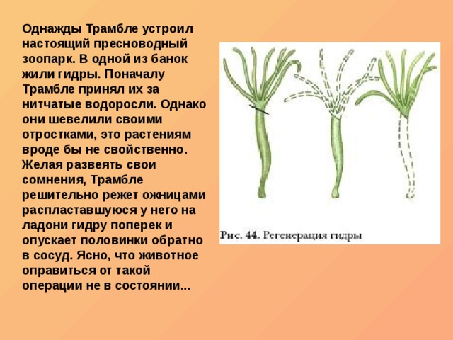 Зайти кракен через тор