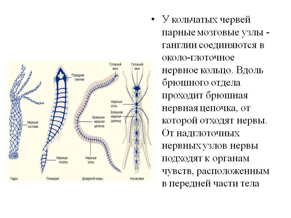 Kraken17 at сайт