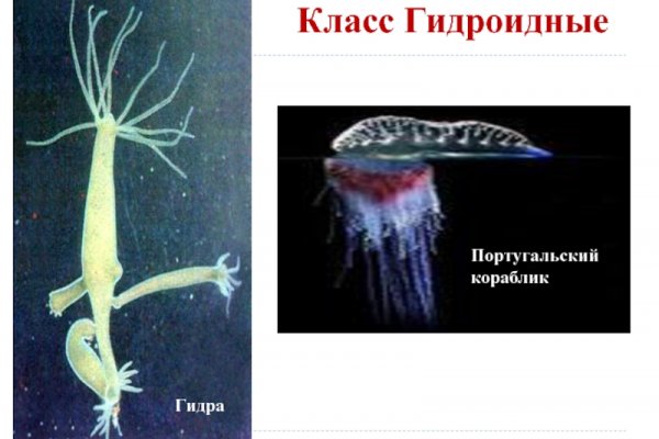 Kraken at сайт