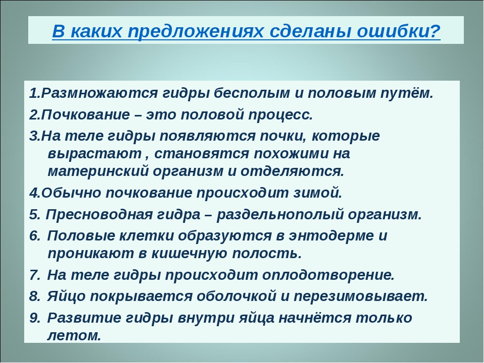 Гидра в даркнете